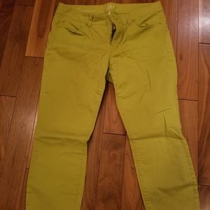 Green modern crop Loft jeans